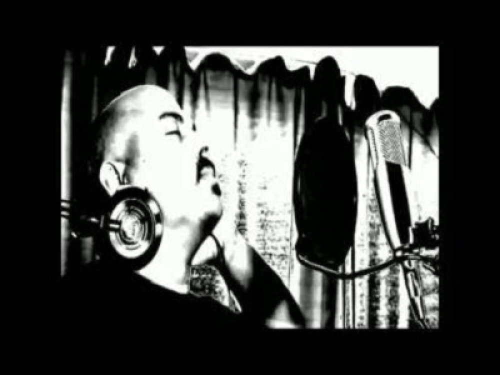 Waikato Rocks Trust logo