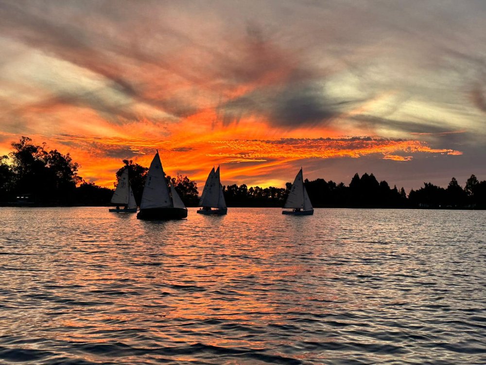 Kirikiriroa & St Peter’s Scout Group logo
